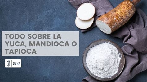Esquema visual de la yuca fresca y sus derivados (tapioca, almidón)
