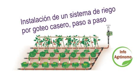 Esquema de un sistema de riego por goteo aplicado a un cultivo de acelga.