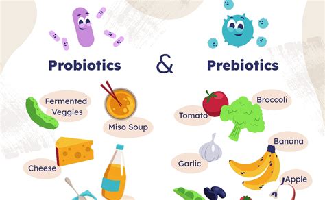 Esquema que muestra la diferencia entre probióticos y prebióticos y su efecto en la flora intestinal