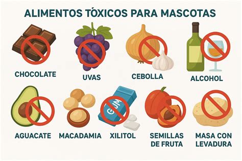 Infografía sobre alimentos tóxicos para aves, destacando cebolla y ajo