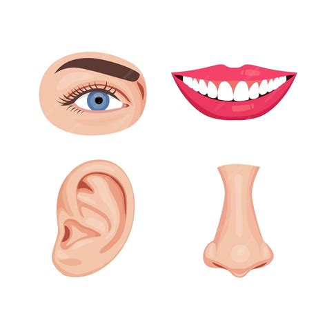 Diagrama paso a paso de la colocación de ojos, hocico, nariz, colorete y boca en la cabeza de la figura de Peppa Pig