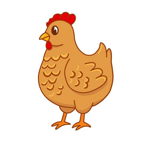 Ilustración de una gallina joven sin huevos
