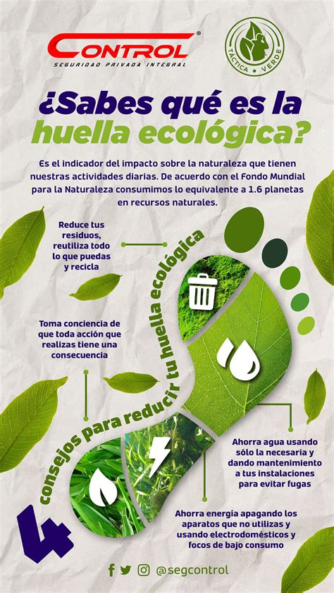 infografía comparativa de la huella ecológica entre la producción de proteína de insectos y la ganadería tradicional