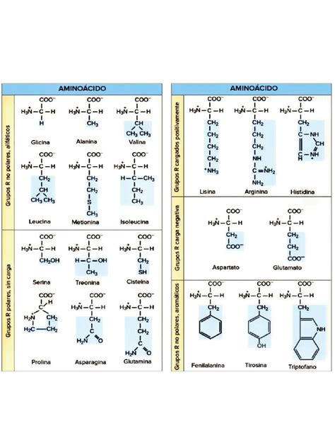 tabla comparativa de aminoácidos y minerales entre harina de grillo y otras fuentes de proteína
