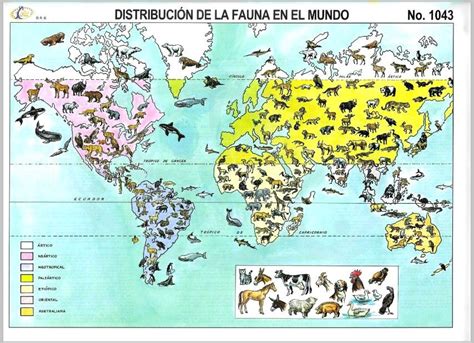 Mapa de distribución de las especies de Patella en Europa