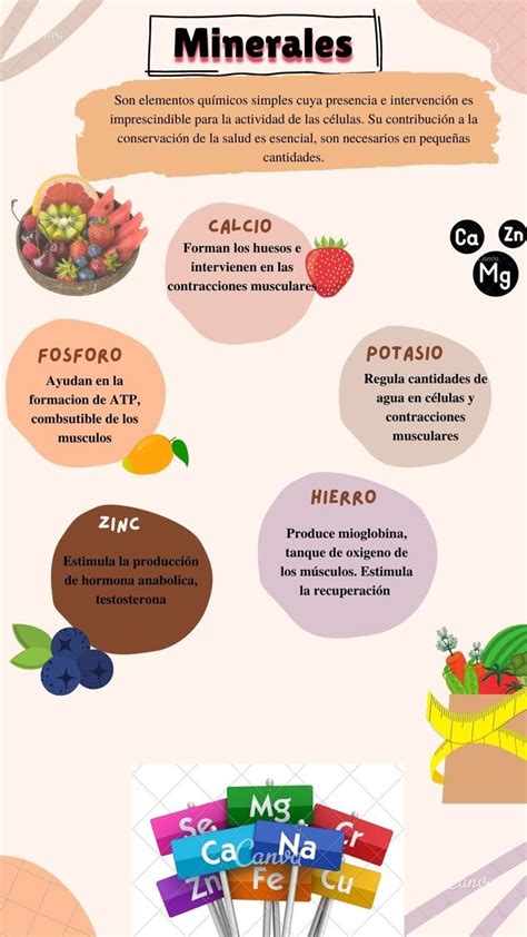 Esquema de los principales minerales y vitaminas presentes en los productos marinos