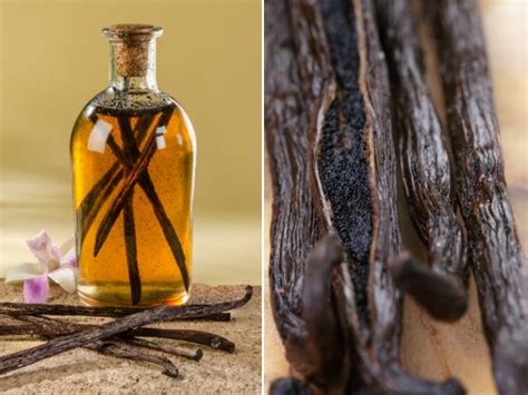 Infografía que muestra la diferencia entre la esencia de vainilla artificial y el extracto natural de vainilla