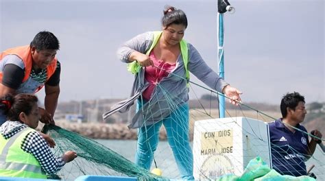 Mujeres trabajando en una caleta de pesca artesanal en Chile, con redes y pescado