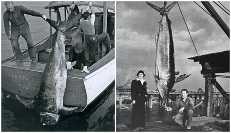 Fotografía histórica de Helen Lerner posando con un pez espada gigante que pescó