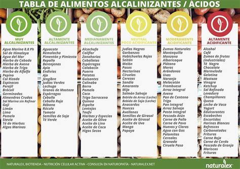 Esquema visual que muestra la proporción 80/20 entre alimentos alcalinos y ácidos para equilibrar el pH del cuerpo.