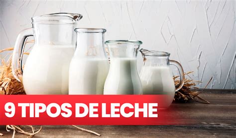 Esquema de los diferentes tipos de leche y sus usos