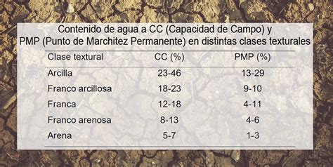 Tabla comparativa de propiedades: dulzor relativo, capacidad de retención de humedad y usos principales.