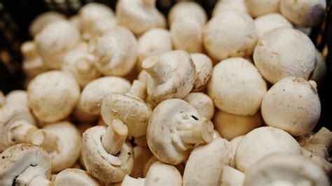 Cesta de champiñones frescos y variados en un mercado