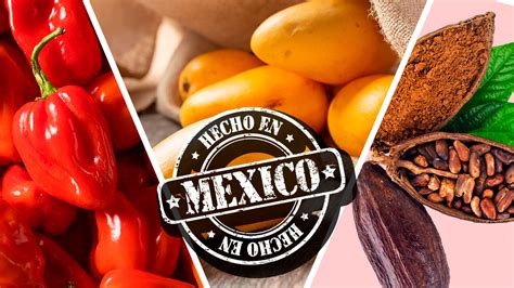 Ejemplo del sello de Denominación de Origen de la longaniza de Chillán.
