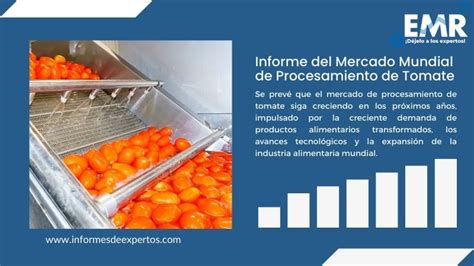 Infografía sobre el mercado latinoamericano del procesamiento de tomate y sus usos finales