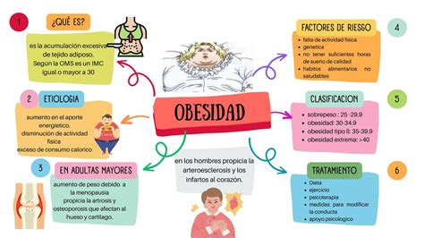 Esquema de la evolución de la terminología sobre la obesidad a través de los siglos, con ejemplos y sus connotaciones.