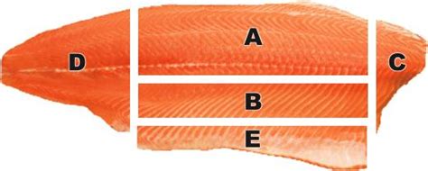Infografía: Diferentes cortes del salmón (lomo, cola, ventresca) y su idoneidad para cada método de cocción.