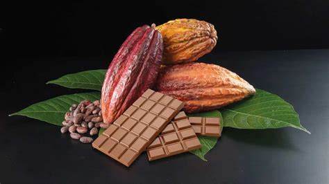 Imagen de granos de cacao y tabletas de chocolate oscuro