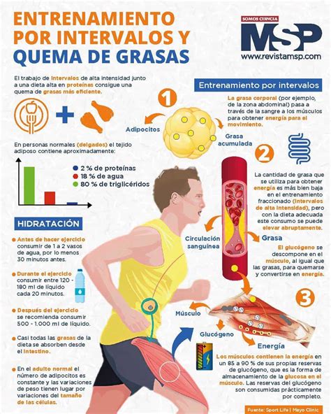 Gráfico comparativo de la quema de grasa con y sin té verde