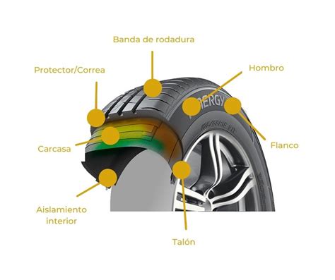 Esquema de un neumático de moto con mousse en su interior