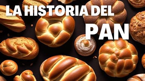 Esquema de la evolución del pan a lo largo de la historia