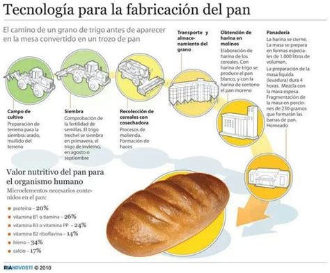 Diagrama de los ingredientes básicos para la elaboración del pan: harina, agua, sal y levadura.