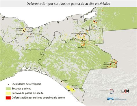 Mapa de las zonas de deforestación causadas por plantaciones de palma