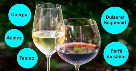 Infografía comparativa de perfiles de sabor de vinos blancos y sushi.