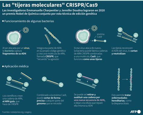 Diagrama explicativo del funcionamiento de la tecnología CRISPR/Cas12 para la detección de ADN.