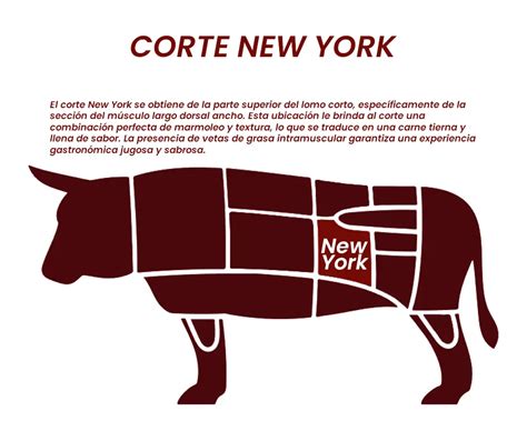 ilustración de diferentes cortes de carne (ribeye, filete, new york strip)