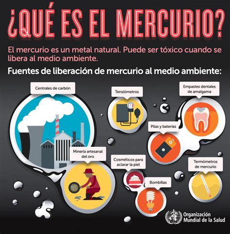 Infografía sobre los efectos del mercurio en la salud humana