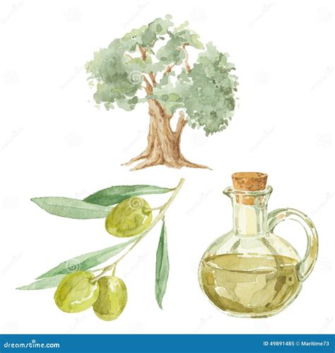 ilustración de un árbol de olivo y una botella de aceite de oliva virgen extra