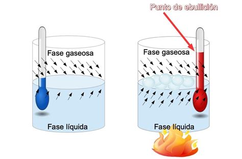 Esquema sobre el proceso físico de ebullición y cómo las burbujas de vapor ascienden a la superficie del líquido.