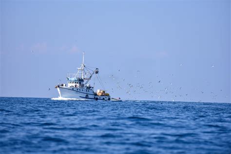 Fotografía contrastante de un pescador artesanal y un buque pesquero industrial chileno.