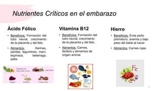 Esquema de nutrientes críticos: Vitamina B12, Hierro, Calcio, Zinc y Omega-3