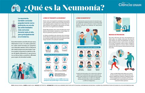 Infografía sobre los pasos del diagnóstico médico de la neumonía en adultos mayores