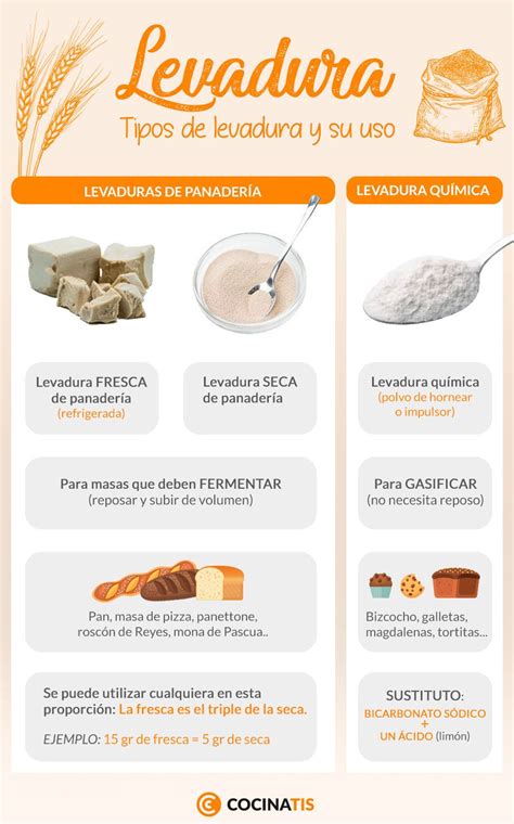 Infografía con los pasos para activar la levadura y mezclar los ingredientes secos y húmedos para la masa de los conejitos