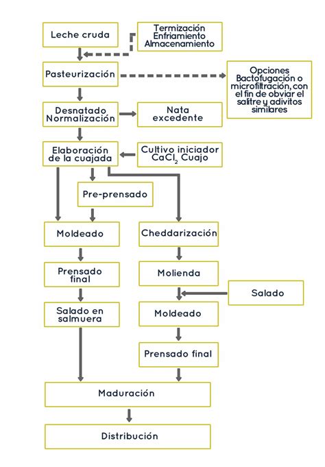 Esquema del proceso de elaboración del queso