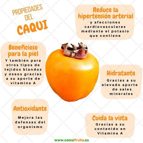 infografía sobre las propiedades nutricionales del caqui y mapa de las zonas de producción en Valencia