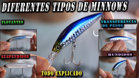 Esquema comparativo de los diferentes tipos de señuelos: cucharillas, vinilos y minnows según el entorno de pesca.