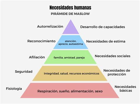 Diagrama de las necesidades nutricionales de la levadura