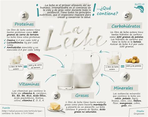 Infografía detallando los componentes nutricionales de la leche de vaca