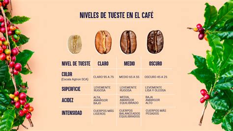 Comparación visual de granos de café con tueste natural y torrefacto.