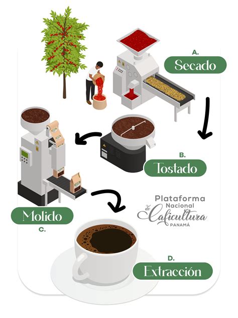 Diagrama ilustrando el proceso de oxidación del café molido.