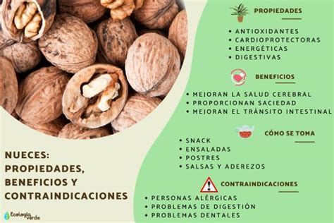 Infografía destacando los principales beneficios para la salud de las nueces: salud cerebral, intestinal, regulación de azúcar y control de peso.