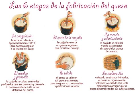 Esquema de las etapas de elaboración del queso