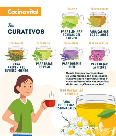 infografía sobre los beneficios históricos de las infusiones de hierbas