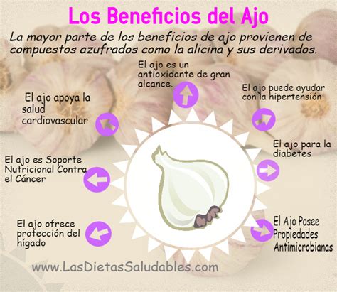 diagrama comparativo de los beneficios del ajo, la cebolla y el jengibre
