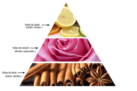 Infografía detallada de la pirámide olfativa de Miss Dior.