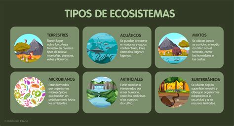 Esquema ilustrativo de los diferentes tipos de ecosistemas de agua dulce (ríos, lagos y humedales) y su interconexión.